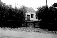 Year 1952